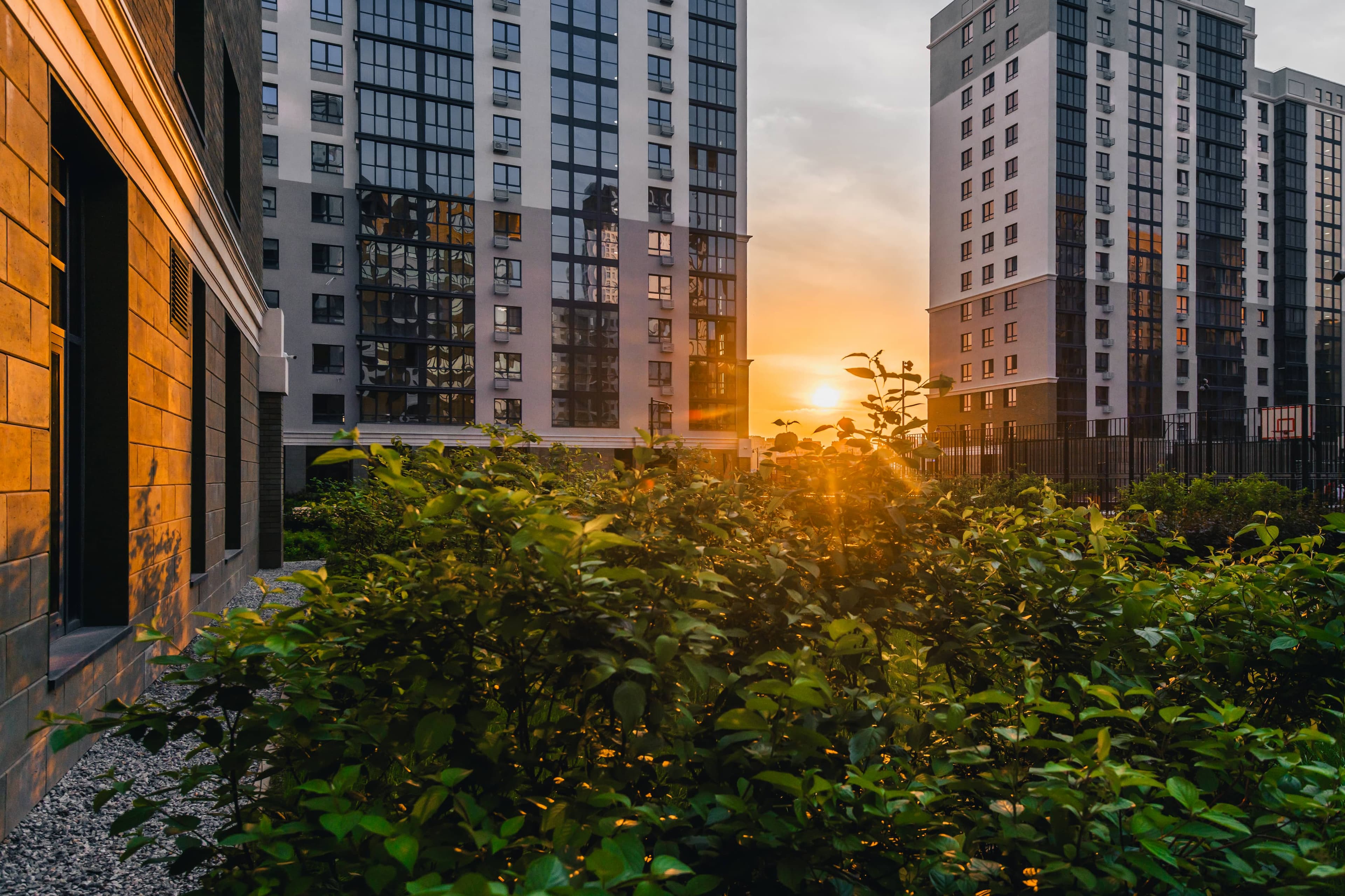 Изображение проекта