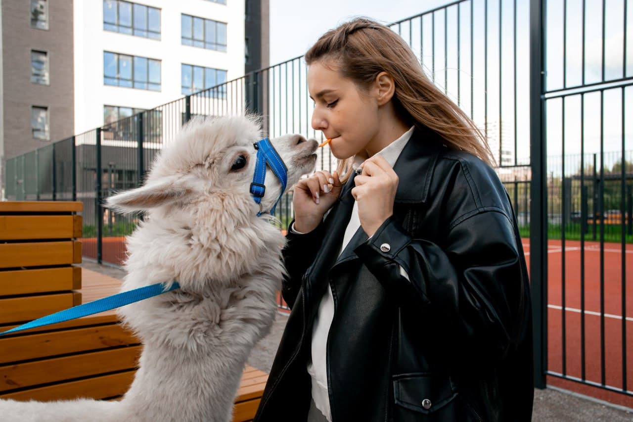 Изображение проекта