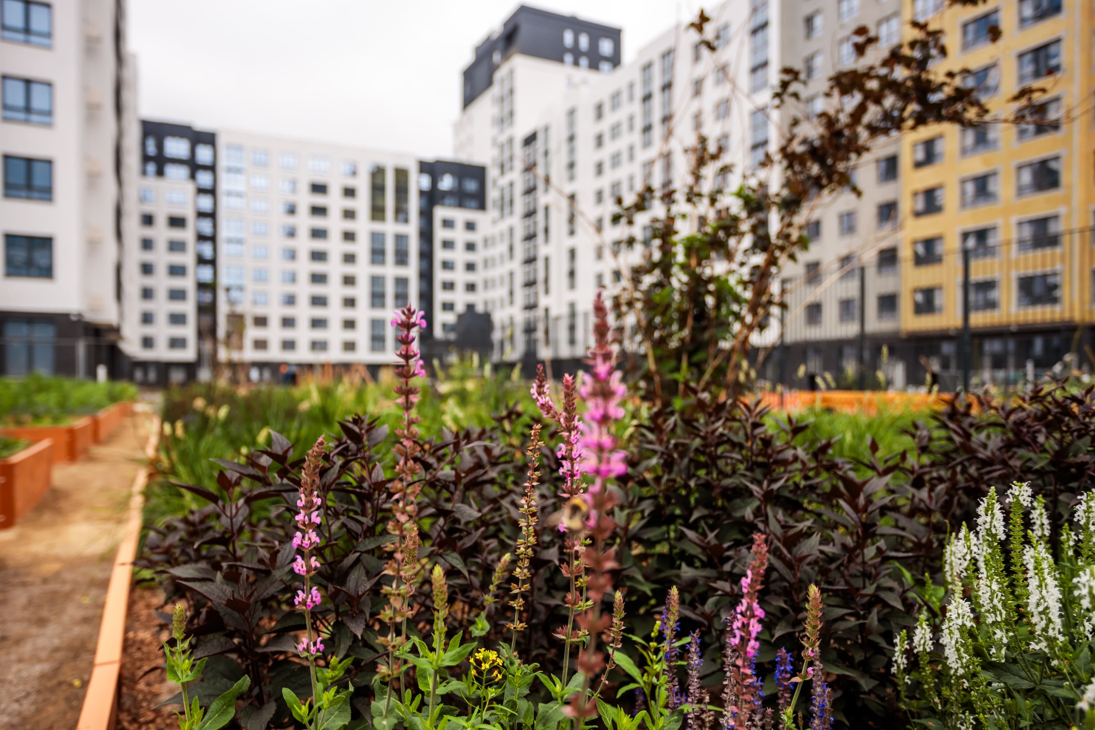 Изображение проекта